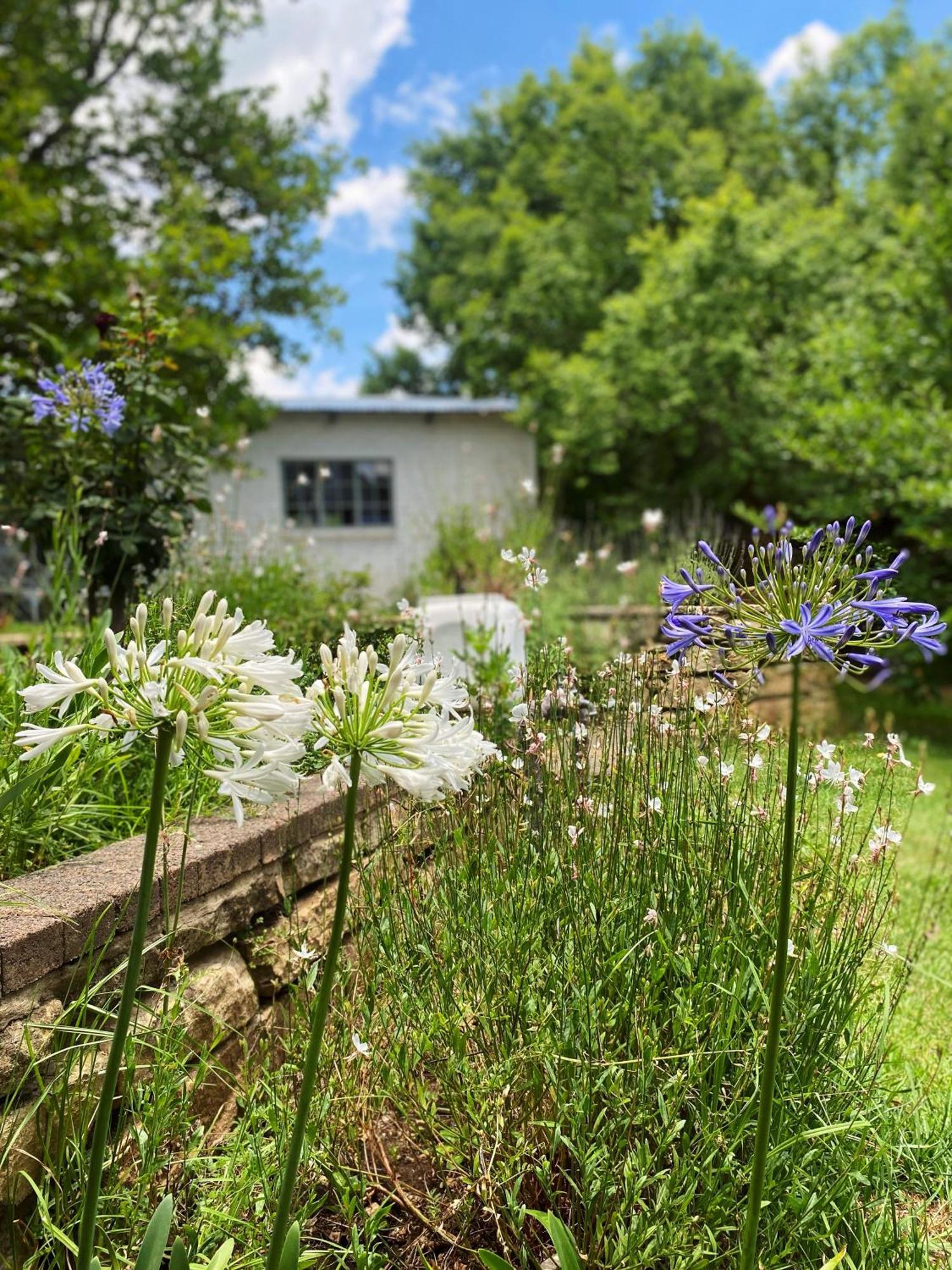 Collett House And Lavender Cottage Clarens Exterior foto